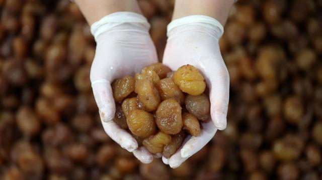 Rekabet Kurumu'ndan Google'a Android soruşturması