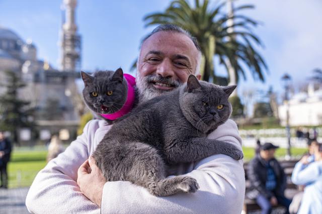 8 kilo kedileri omzunda taşıyor. Gezgin kediler sahibinin omzunda İstanbul'u geziyor