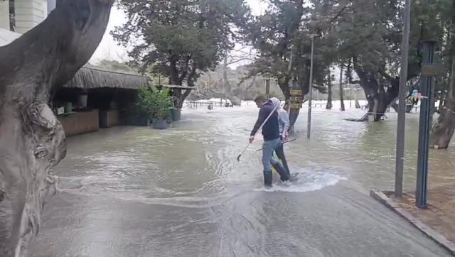 Manavgat Irmağı'nda sular yükseldi, işletmeleri su bastı