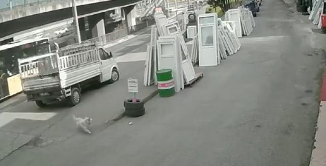 Köpekten kaçmaya çalışan üniversite öğrencisine belediye otobüsü çarptı