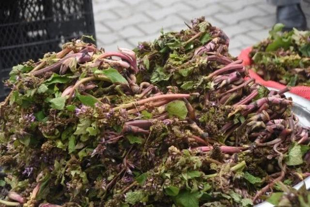 Doğada kendiliğinden yetişen bitki. Pazara indi, eskiden askerlere cesaret veriyormuş