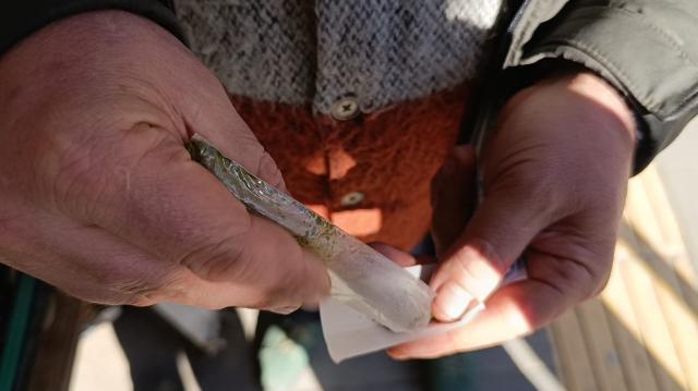 8 paket sigaraya bedel. İçinde yüksek nikotin var, kanseri tetikliyor