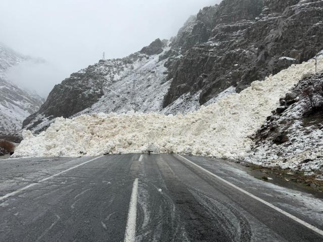 Hakkari-Çukurca kara yolu kapandı. Köyün yakınına düşen çığ görüntülendi