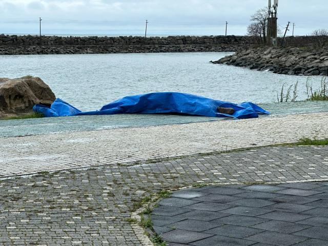 Ordu'da sahile İHA vurdu iddiası. Cisim ekiplerce inceleniyor