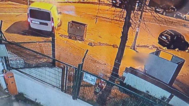 Yok böyle vicdansızlık! Kaldırımda yatan köpeği ezip yollarına devam ettiler