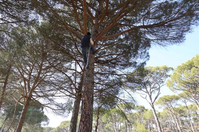 İşçiler Künar komandosu olarak anılıyor. Tehlikeli olduğu için çalışan az