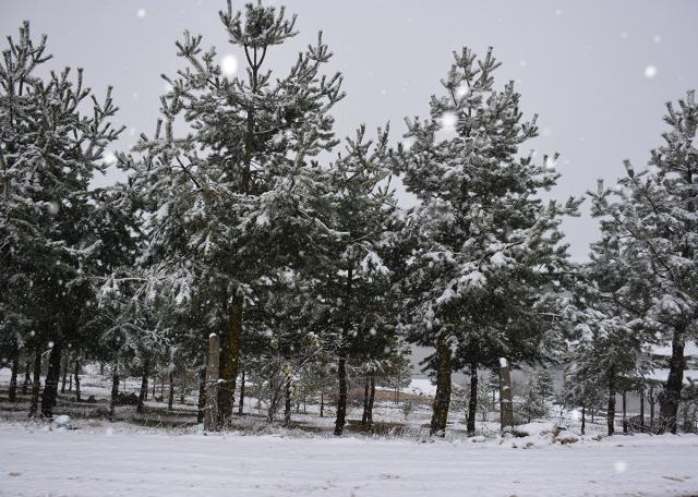 Bahar yerine kar geri geldi