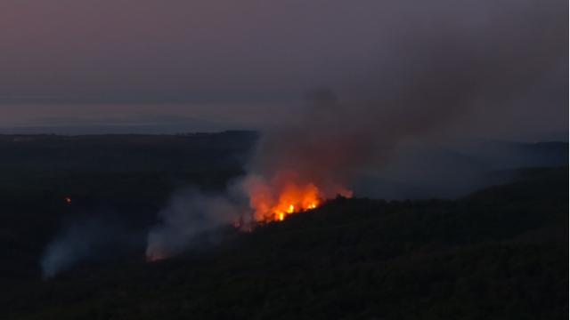 Beykoz'da orman yangını. Kontrol altına alındı, başka bölgeden alevler yükseldi