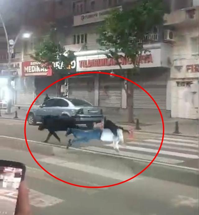 Şehir ortasında yaban domuzu paniği! 3 kişiye saldırdı