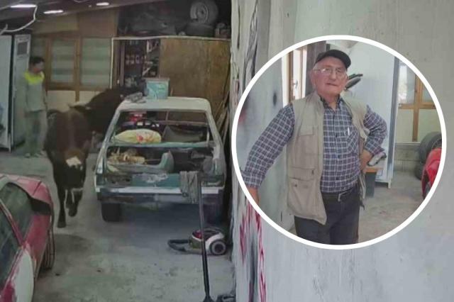 Danalar oto tamirciyi bastı, görgü tanığı: 