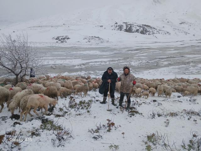 Tipi ve heyelan nedeniyle 2 çoban ve 650 küçükbaş yaylada mahsur kaldı