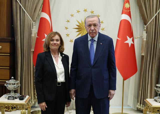 Cumhurbaşkanı Erdoğan, İspanya Anayasa Mahkemesi Başkanvekili Huertas ile bir araya geldi