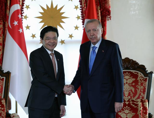 Cumhurbaşkanı Erdoğan, Singapur Başbakanı Wong'u kabul etti