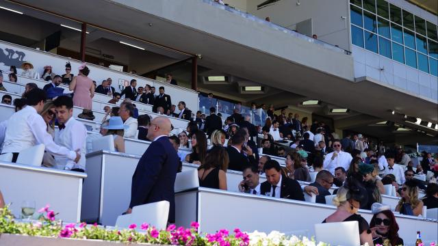 Veliefendi Hipodromu'nda Gazi Koşusu heyecanı. Seyirci rekorunun kırılması bekleniyor
