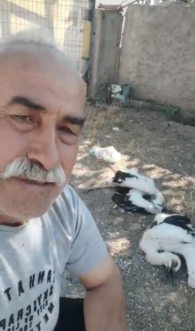 Leyleklerin öldüğünü görünce gözyaşlarına boğuldu: