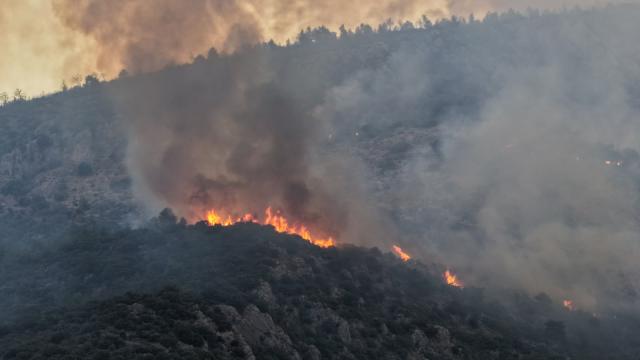 Antalya Kaş'ta orman yangını. Havadan müdahale yeniden başladı
