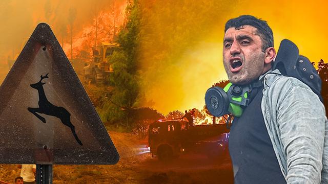 Orman yangınlarında son durum | En kritik nokta Aydın Çine, bölgede göz gözü görmüyor
