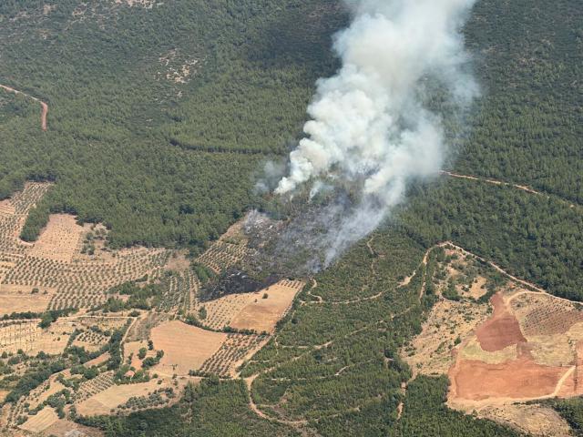Muğla Yatağan'da orman yangını