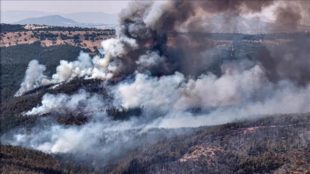 10 orman yangınına soruşturma. 2 şüpheli tutuklandı, 3 şüpheli gözaltında