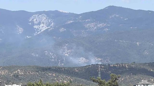 Kazdağı Milli Parkı'nda orman yangını