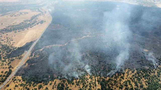 Elazığ'daki orman yangını kontrol altında