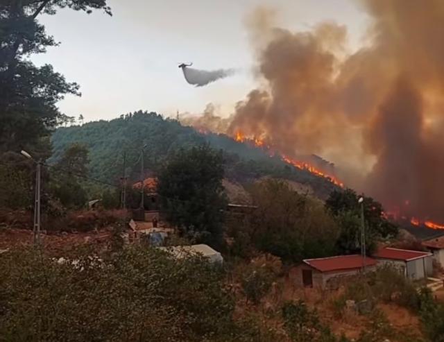 Antalya'da orman yangını. Alevler rüzgarın etkisiyle büyüdü